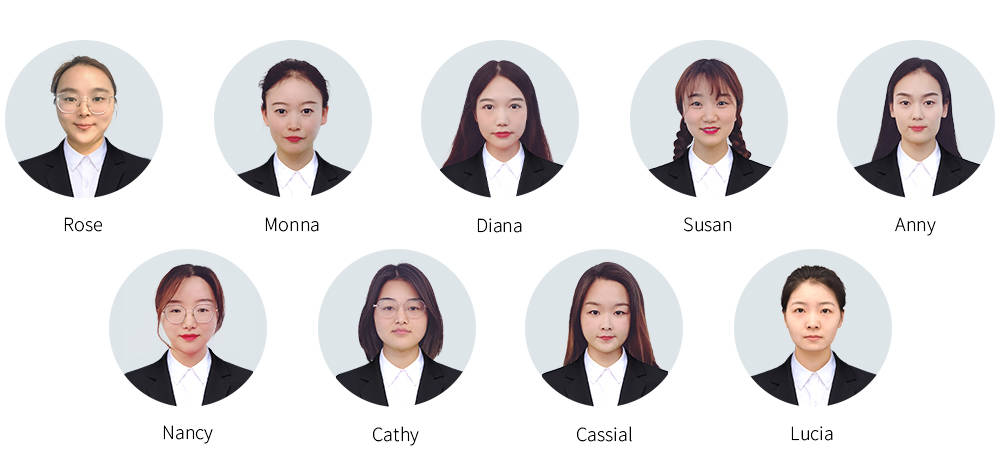 Our professional team Our professional team