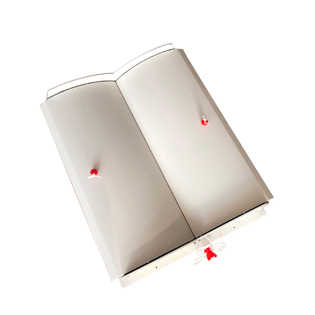 Ceiling ventilation window